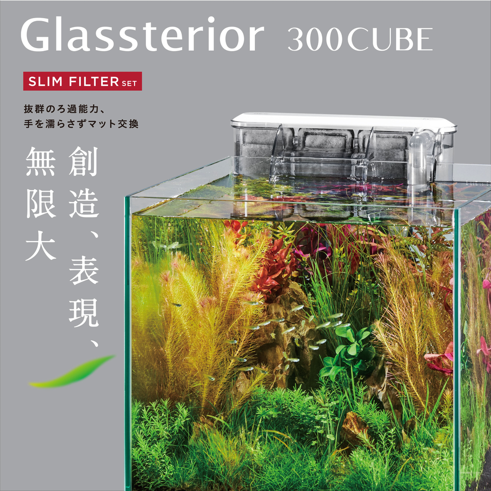 Kazumi 30キューブ ガラス水槽 濾過装置付き 楽天市場】【2／1限定