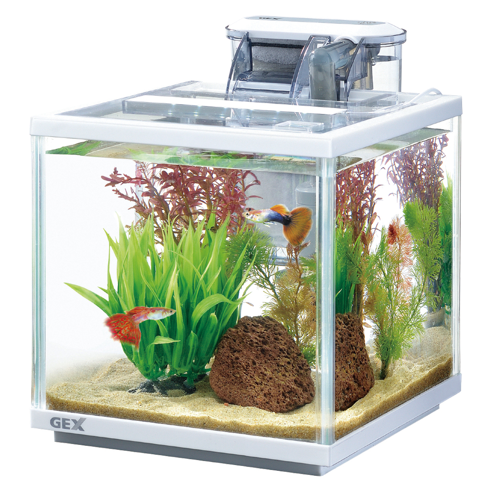 90cm ガラス水槽 アクアフィルターセット 90cm ガラス水槽 アクア