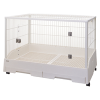 ラビットホワイトルーム62 ラビットホワイトルーム62