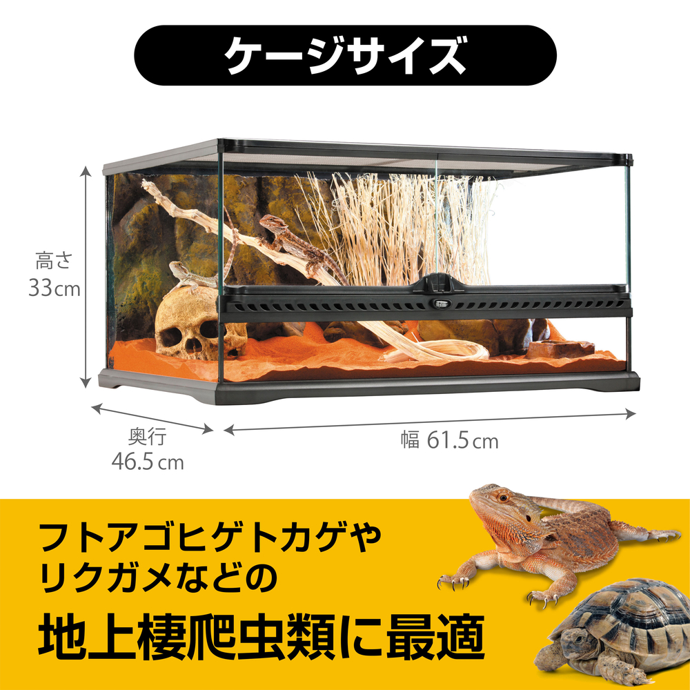 爬虫類飼育セットリクガメフトアゴガラスケージ60.5cm45.5cm32.5cm GEX