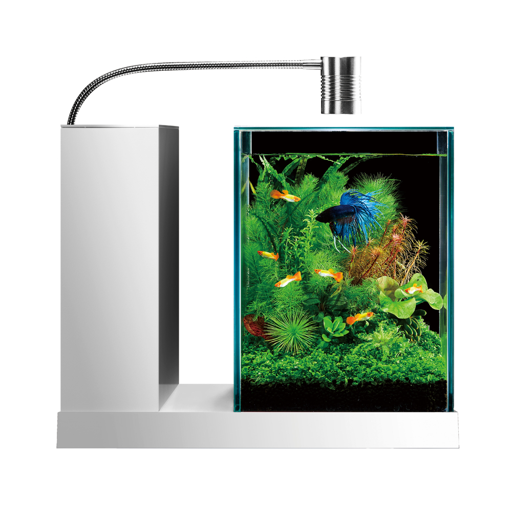 AQUA-U WIDE 黒 小型ガラス水槽セット GEX aquarista AQUA-U WIDE 2.0