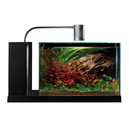 GEX aquarista AQUA-U WIDE 2.0 Black | ジェックス株式会社