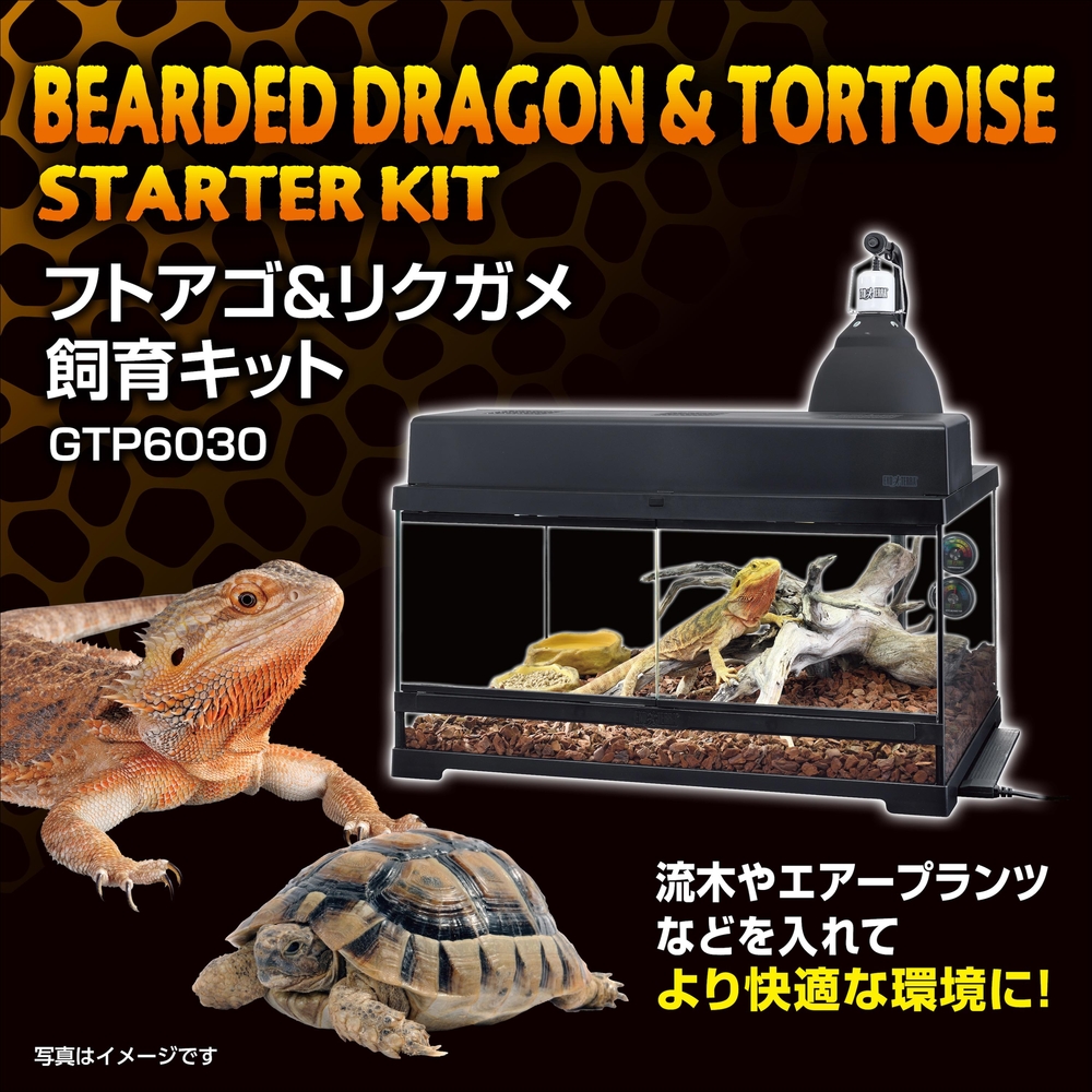 フトアゴ&リクガメ飼育キットGTP6030 | ジェックス株式会社