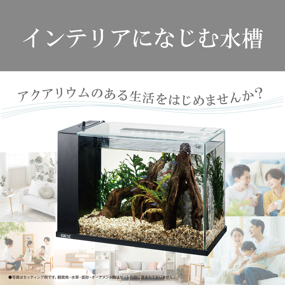 アワーズ ブラック | ジェックス株式会社