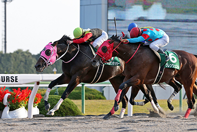 出走馬紹介 ドバイワールドカップデー特集2017