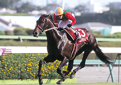 未来に語り継ぎたい名馬 JRAレーシングビュアー