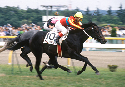 未来に語り継ぎたい名馬 JRAレーシングビュアー