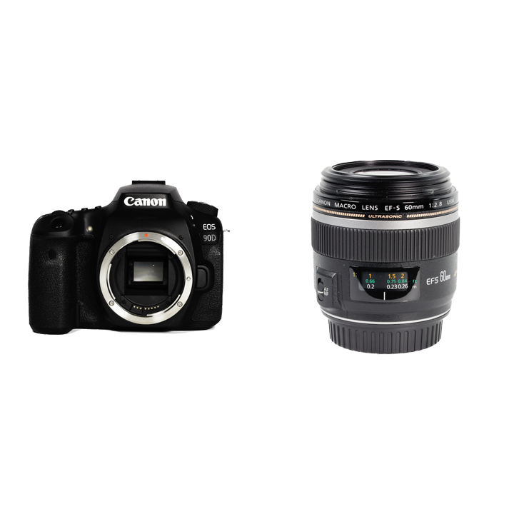 Canon EOS 90D Tamronレンズセット Canon EOS 90D Tamronレンズセット