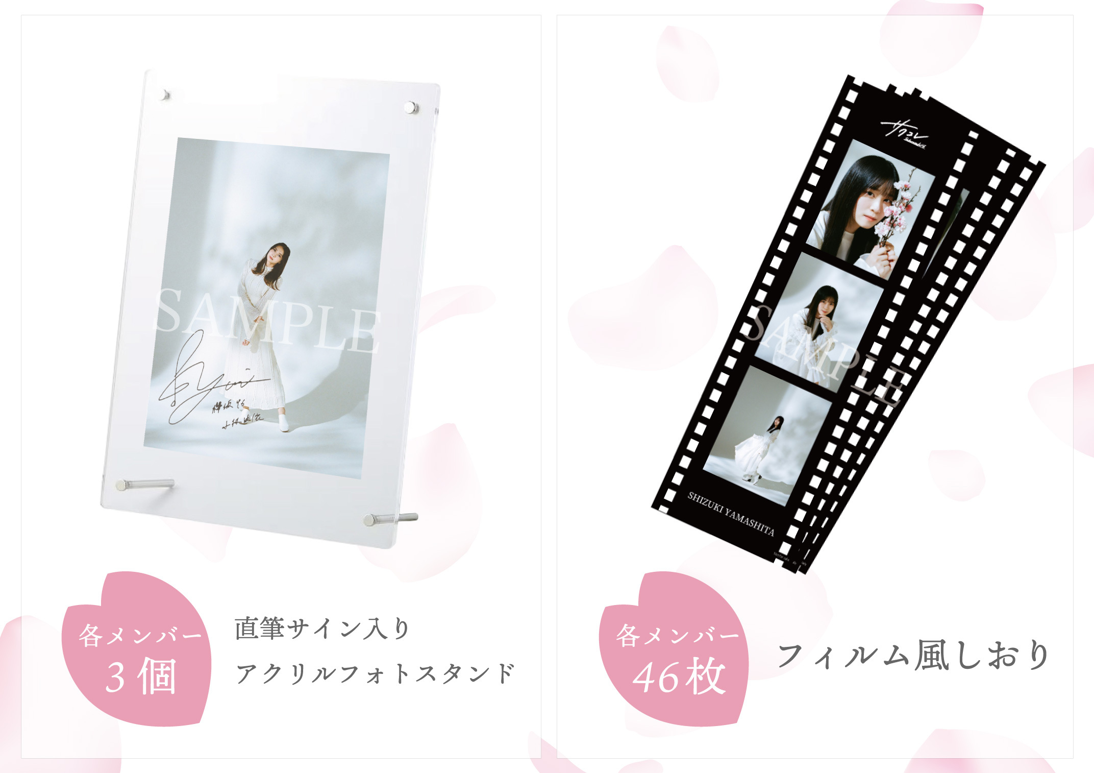 FC会員限定新サービス「サクコレ」オープン！直筆サイン入りグッズが