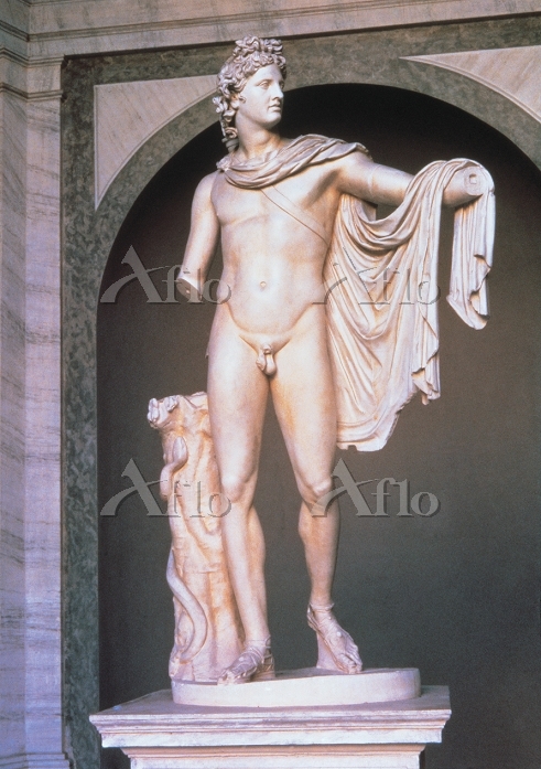 版画】B.THIERRY アバロン 版画】B.THIERRY アバロン 【公式通販】