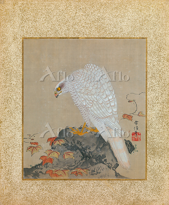 狩野常信画、軸、41.91センチ、共箱、『茅野』古画、名家の蔵出し