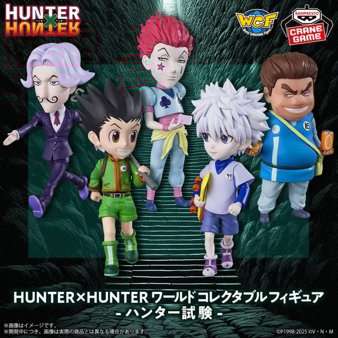hunter×hunter フィギュア 9体セット 2025年9月最新】HUNTER×HUNTER