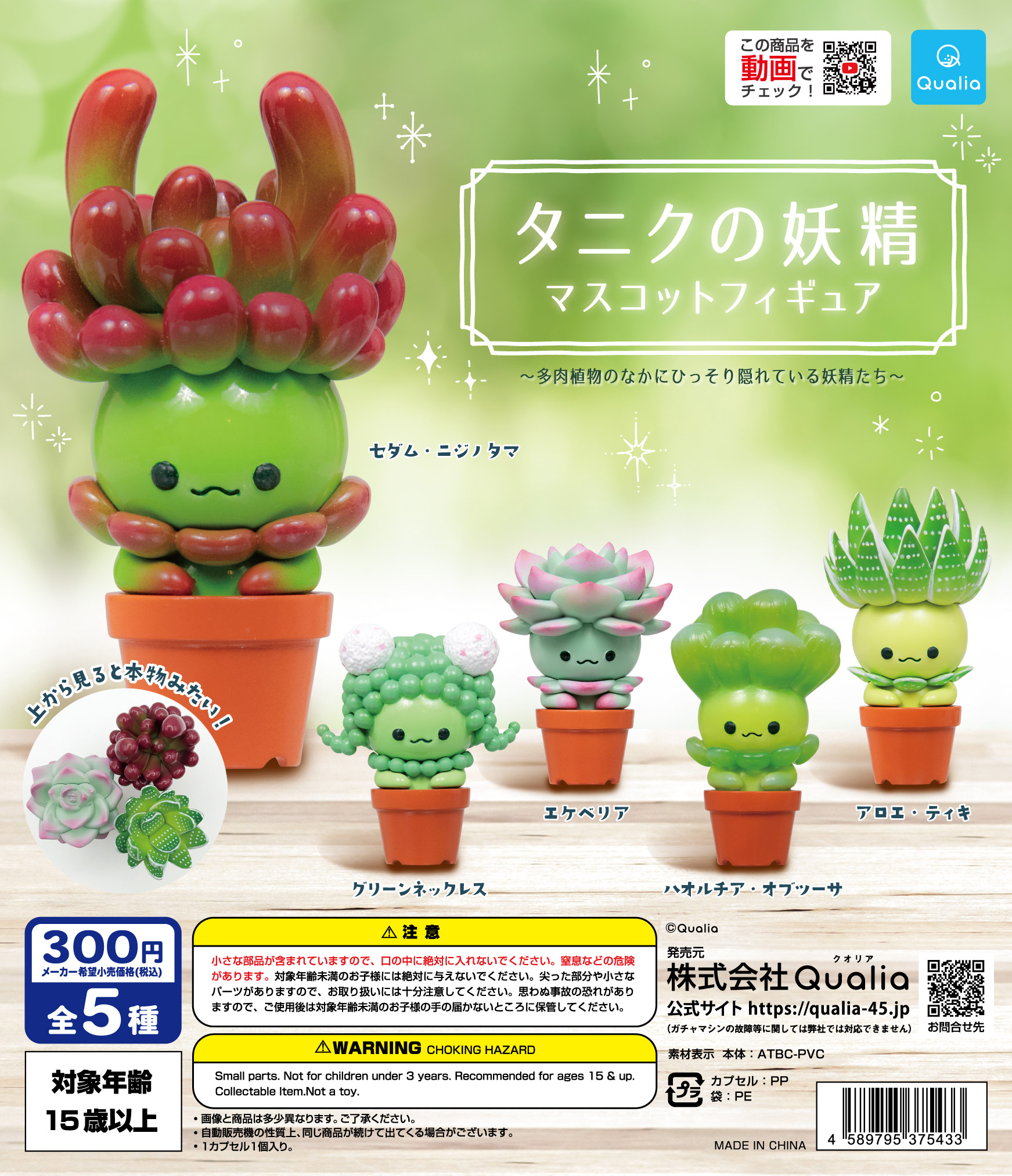 第一章フィギュアセット TNOK＋DB＋観葉植物くん 第一章フィギュア