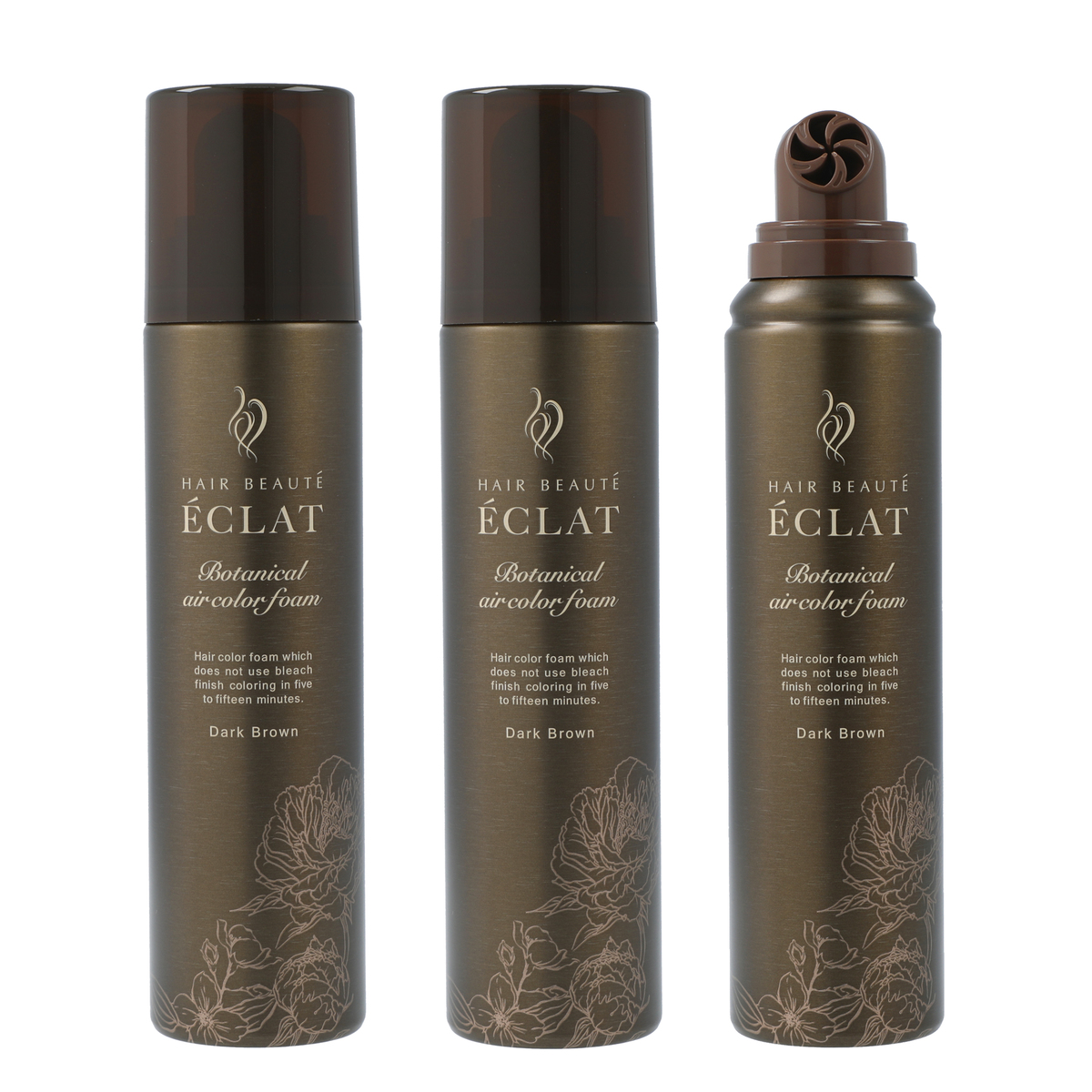 ヘアボーテエクラボタニカルエアカラーフォームup3本P付特別セット