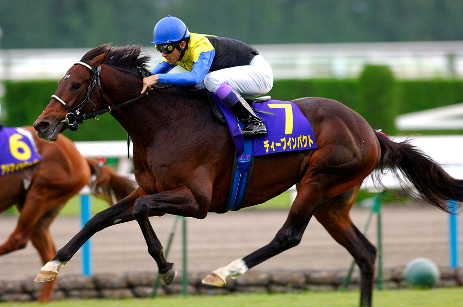 ナリタブライアンとディープインパクトが勝負したら勝つのは!? | 名馬