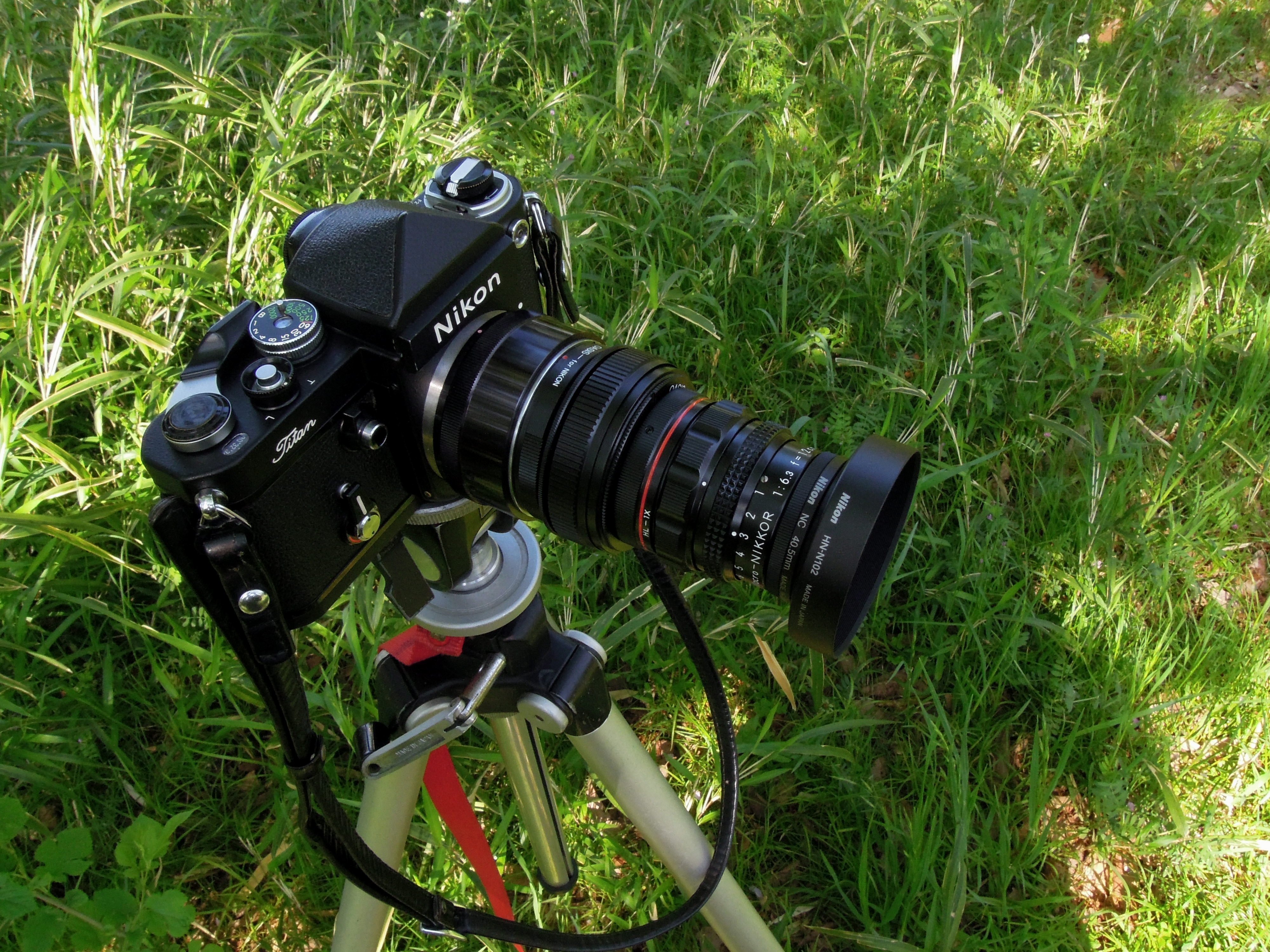 MACRO Nikkor 12cm F6.3 Spirit of Naturalist