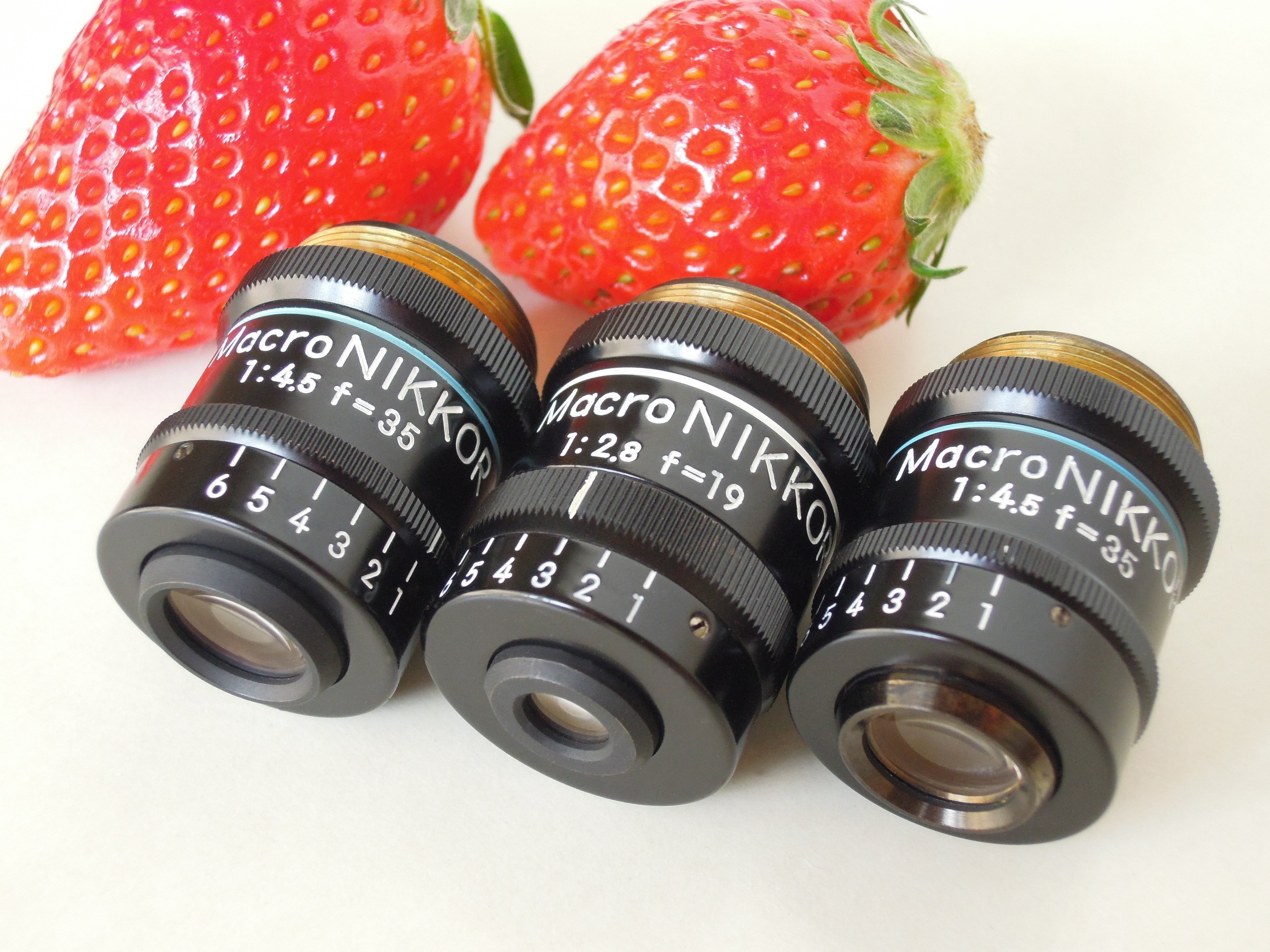 MACRO Nikkor 35mm F4.5 in Wind