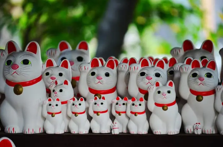 hongama ホンガマ ゴースト キャット ネコ ねこ 猫 cat 陶器 Amazon.co