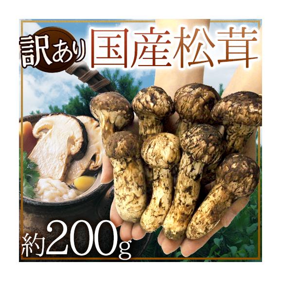 松茸 北海道 500g 訳あり ⑥ 国産 北海道 松茸 500g 訳あり 【公式通販】