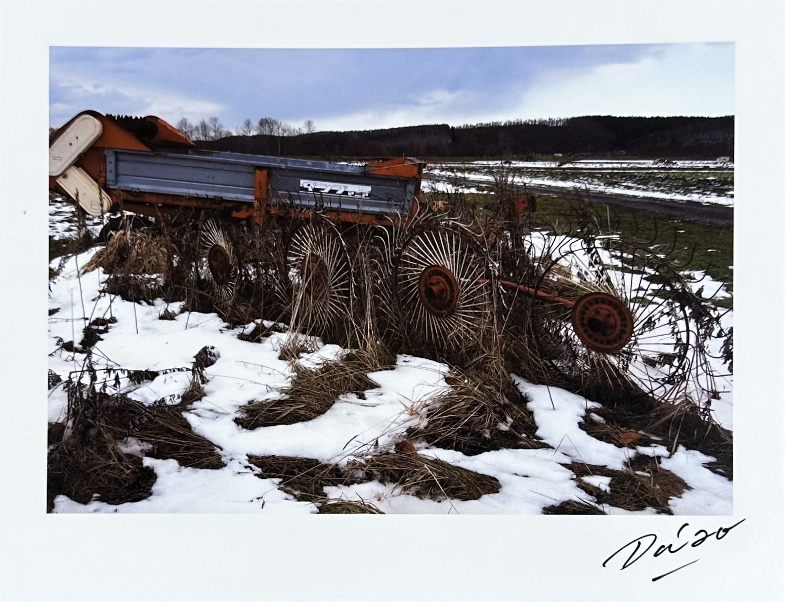 森山大道オリジナルプリント作品 東日本大震災支援プロジェクト - りー