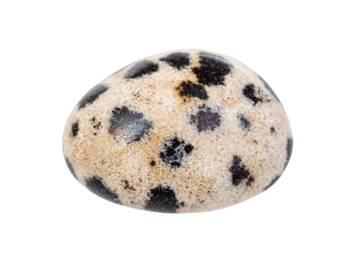葉ろう石 (Pyrophyllite) - Rock Identifier