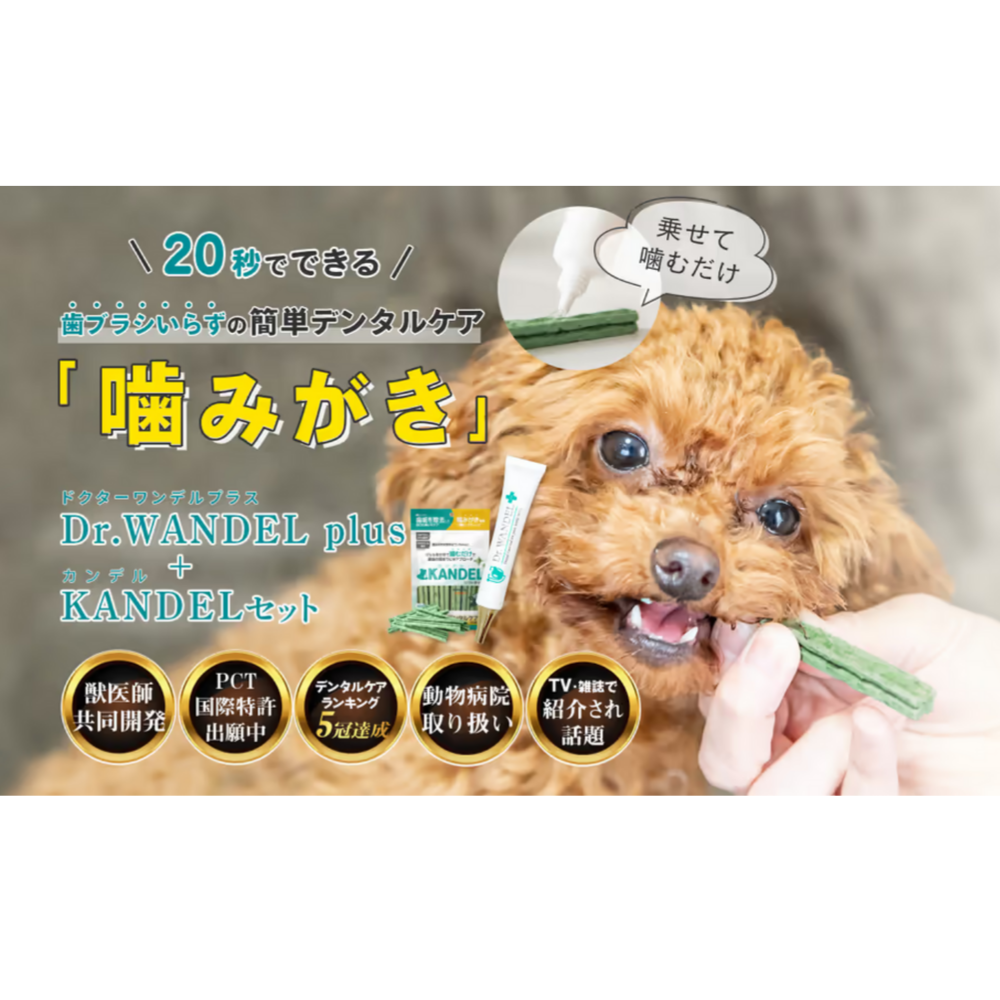 ♢当日発送♢ドクターワンデル プラス 3本【新品未開封】Dr.WANDEL k