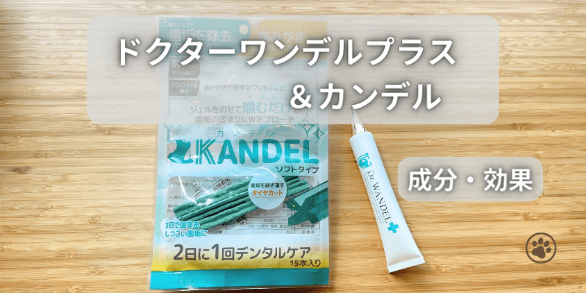 ドクターワンデル カンデル 4セット デンタルガム 【公式通販】