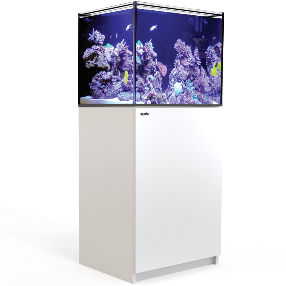 ○水無月さん限定○レッドシーリーファー250 ホワイト 水槽のみと