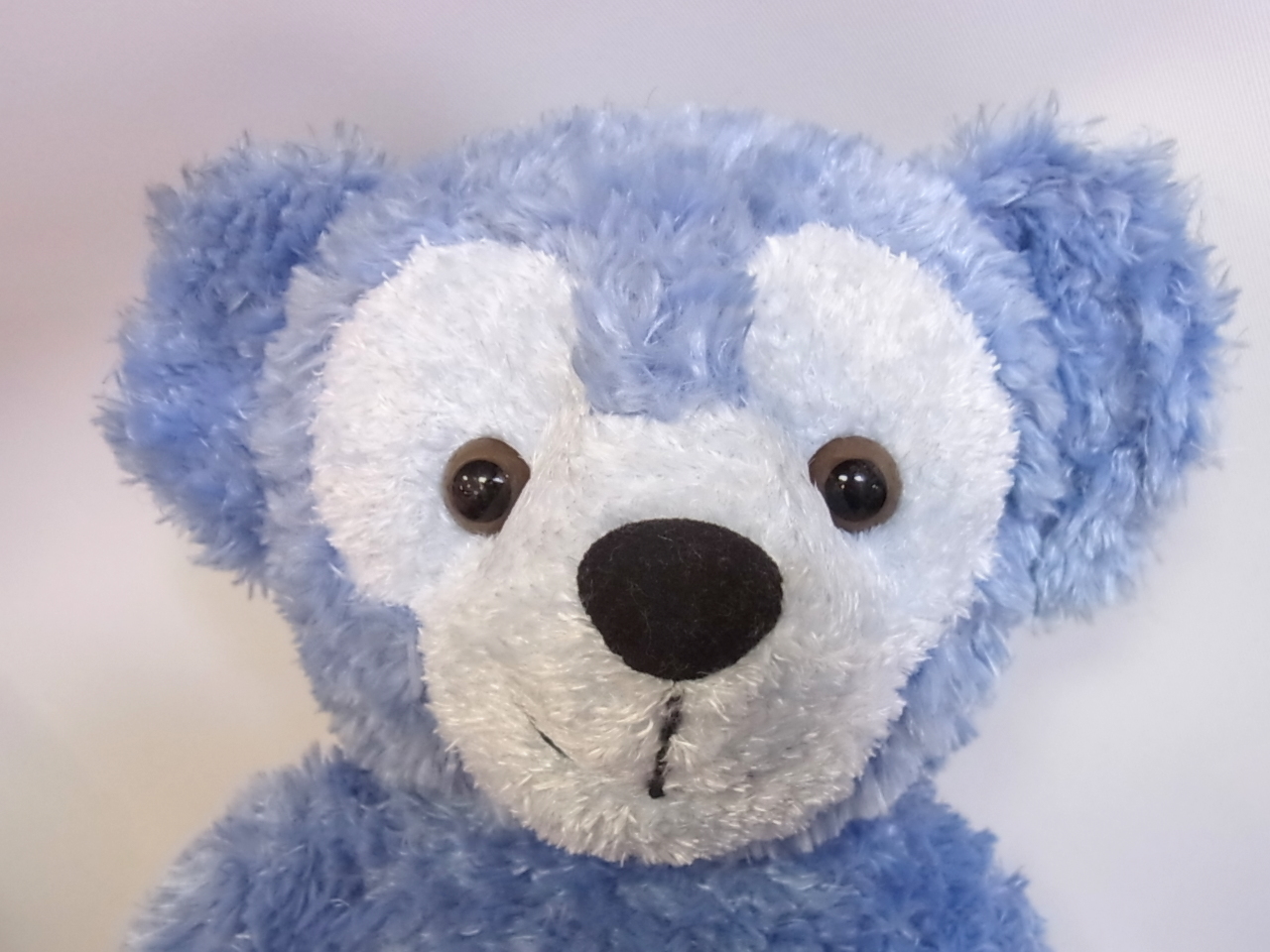 WDWカラーダッフィーミント WDWカラーダッフィーミント 希少