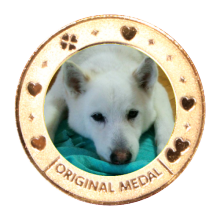 茶平工業 記念メダルコレクション 兵庫県 王子動物園