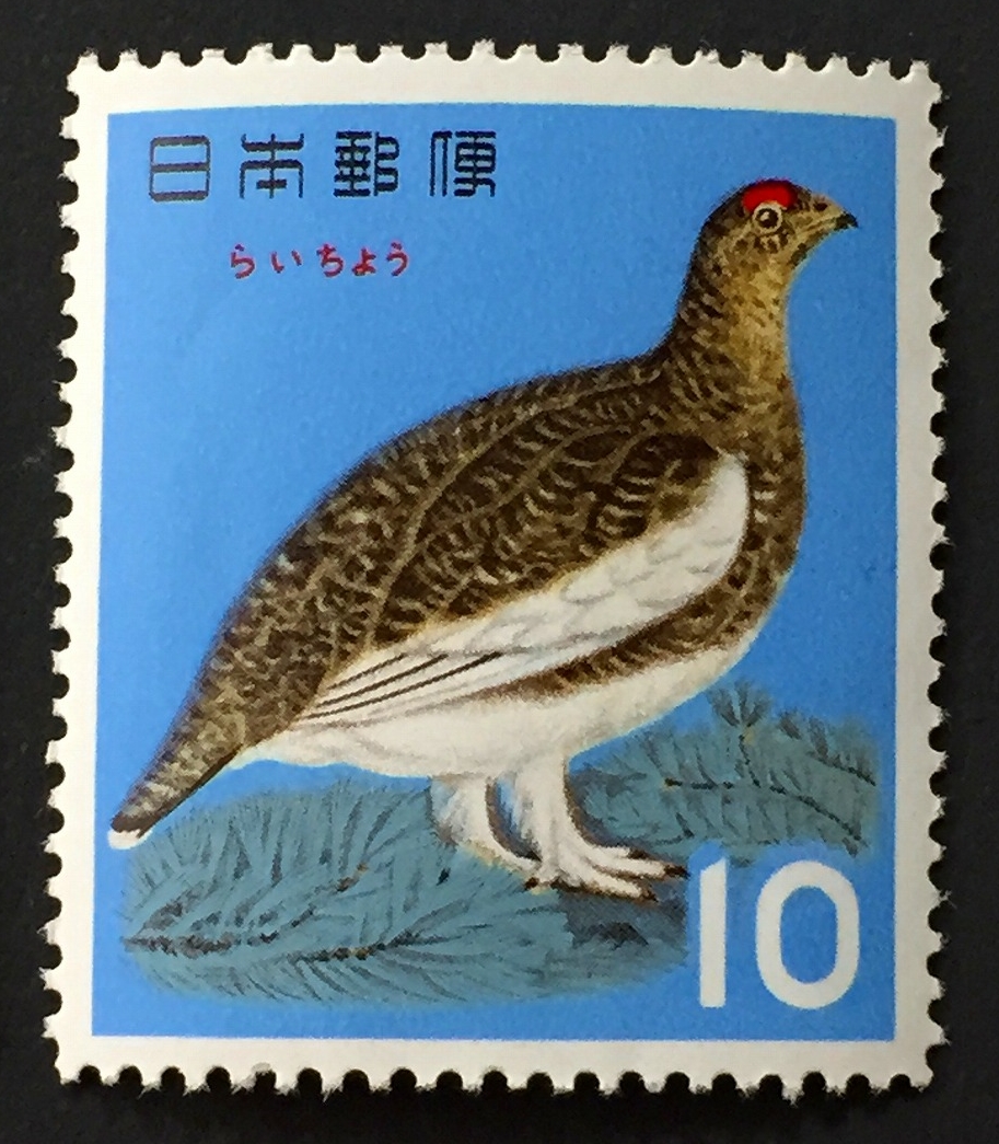 4031 外国切手 ユーゴスラビア 1972年 鳥類 6種完 未使用4031 外国切手