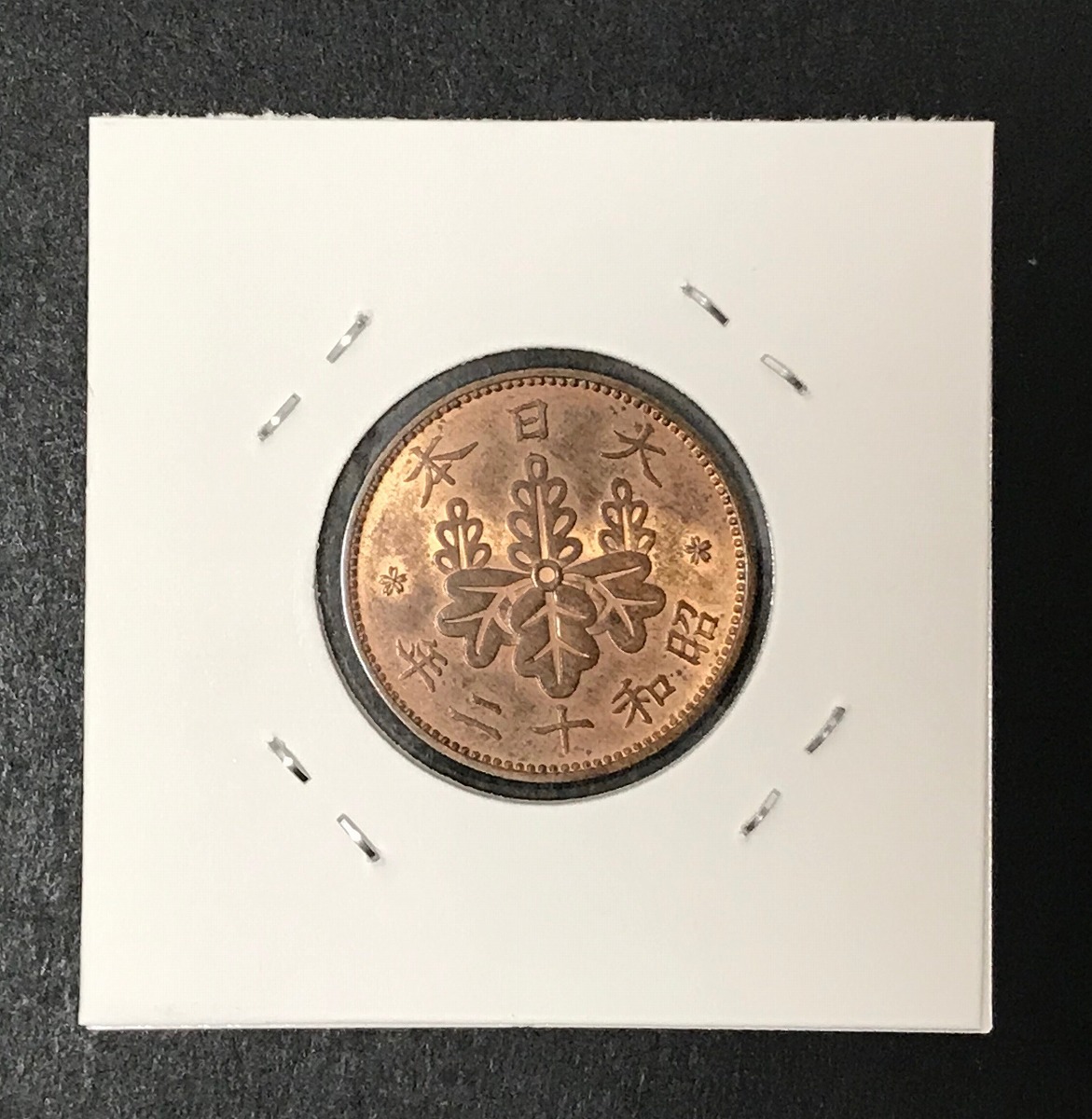 桐 1銭青銅貨 昭和12年(1937年) 直径 23.03mm/量目 3.75g 未使用