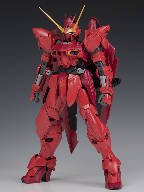 MG テスタメントガンダム レビュー