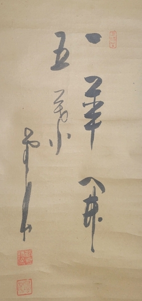 福井江亭画『達磨』菅原曇華賛『一華開五葉』画賛 掛け軸 合わせ