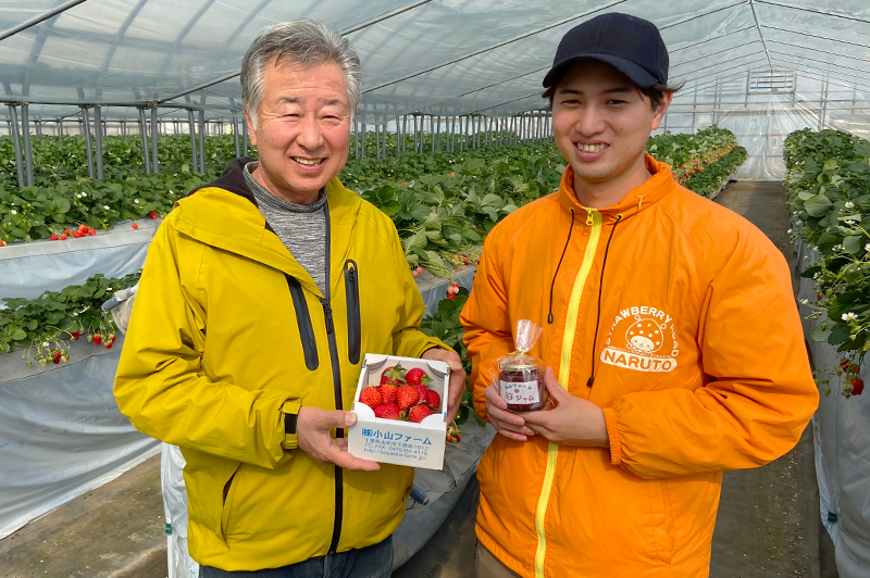 小山ファーム | 千葉県 山武市成東観光苺組合