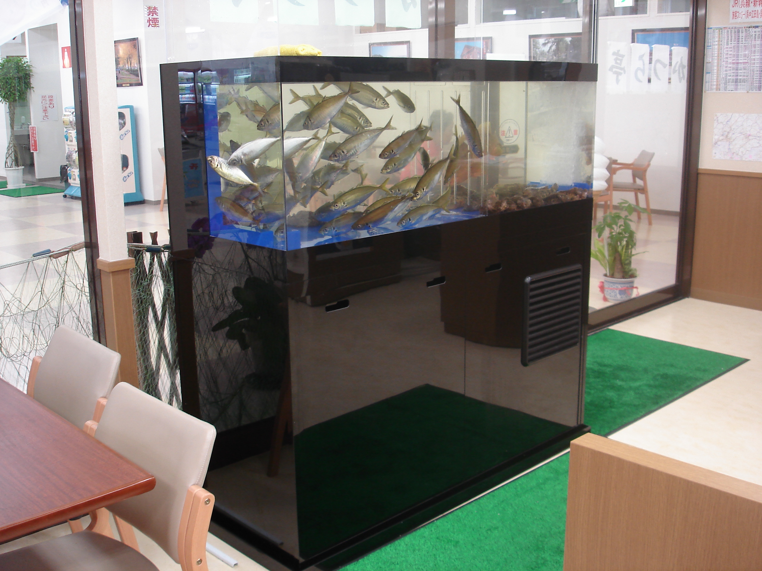 アクリル製活魚水槽「マスター」 | 日本サカス株式会社