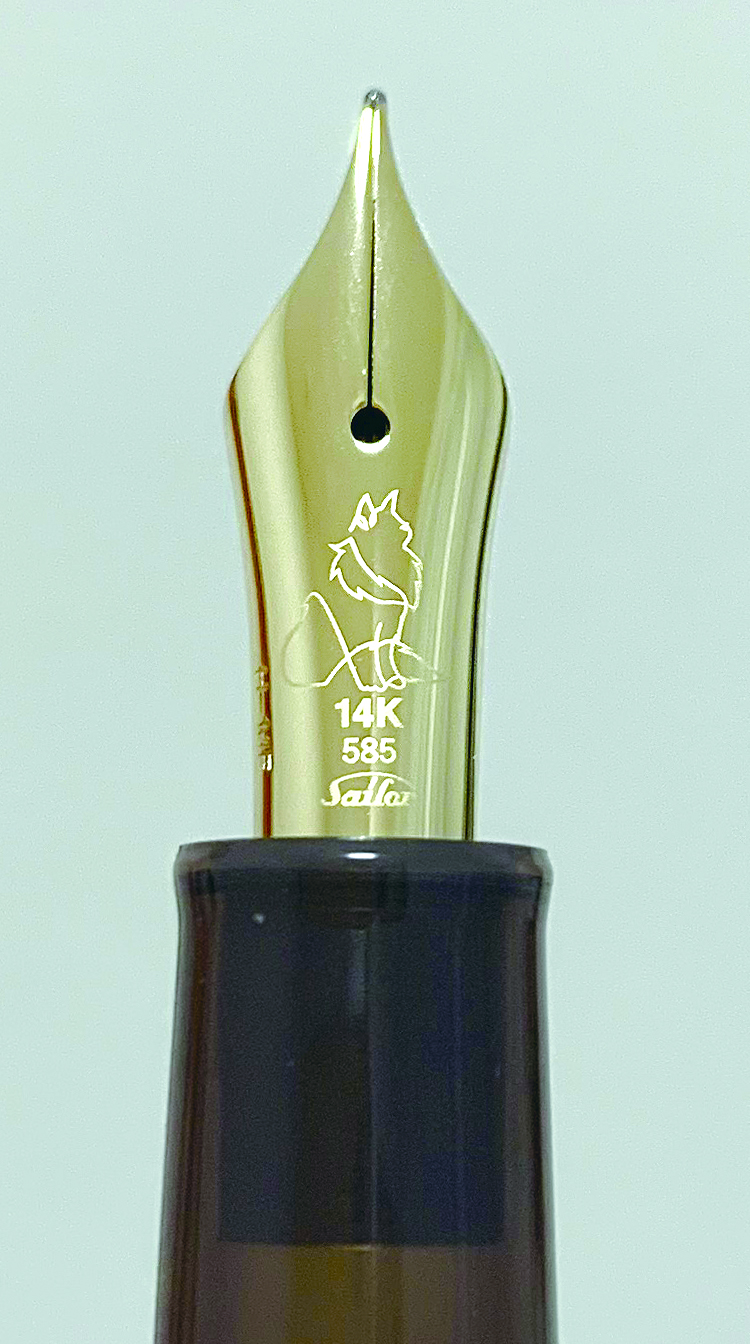 NBCオリジナル アメリカンショートヘア MF