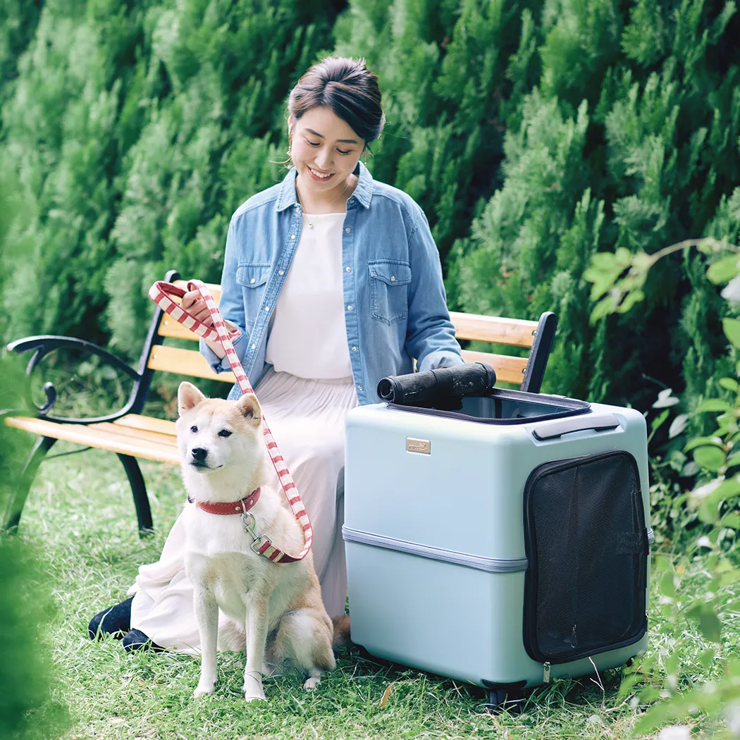 PETiCO Pet Carry iCO 3001 (L) – Sakuri Premium Japanese Pet Products