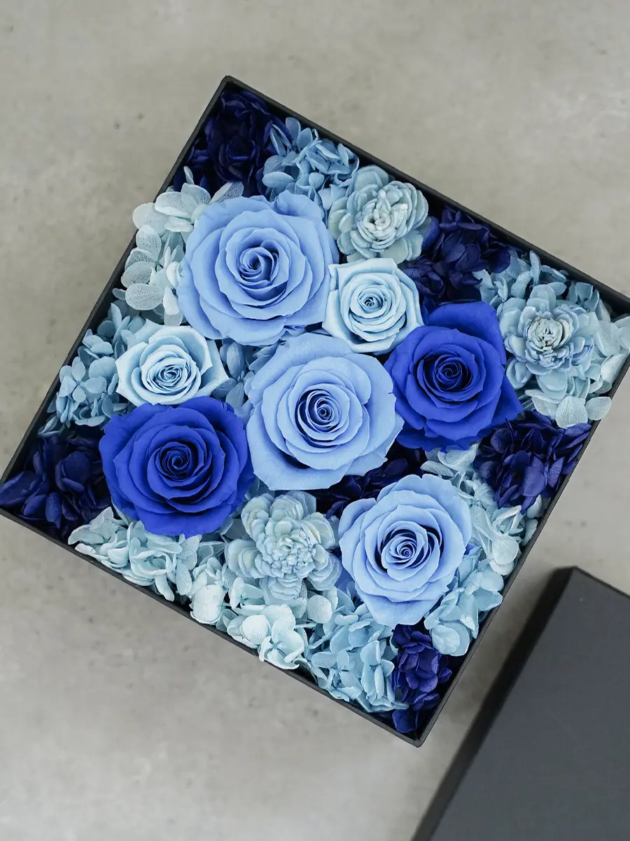 むーさん/一花推し！！ 様 8ボックス むーさん/一花推し！！ 様 8