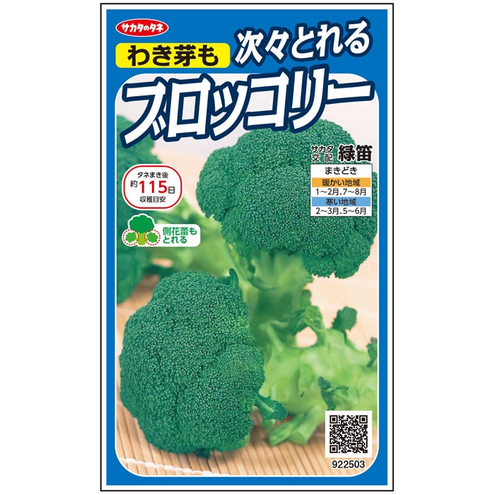 ブロッコリー 緑笛｜種（タネ）,球根,苗,資材,ガーデニンググッズの