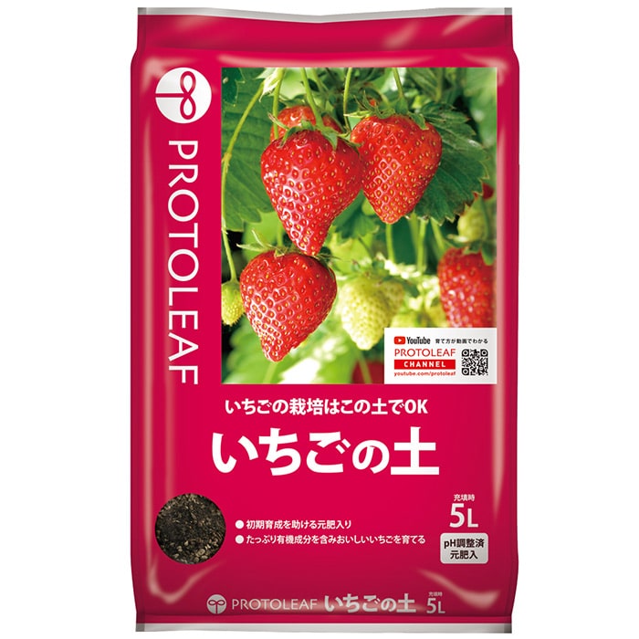 いちごページ おといちご様⭐︎ いちごや様 いちご様 いちごページ 椿