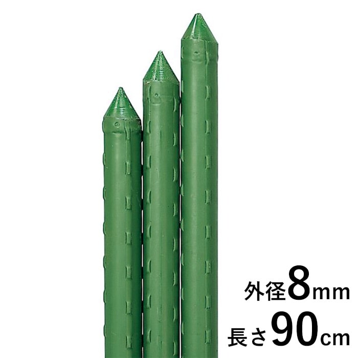 大きな竹の根っこ生活様用 竹について（竹の種類） | 虎斑竹専門店 竹虎