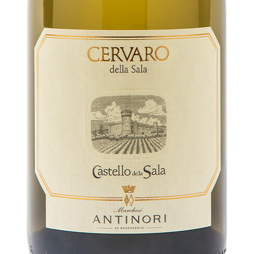 カステッロ デラ サラ チェルヴァロ デラ サラ 2023 アンティノリ