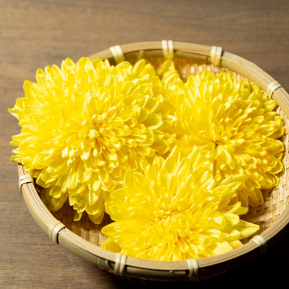 豆知識】「菊酒」とは？秋の深まりを告げる菊酒について知りたい