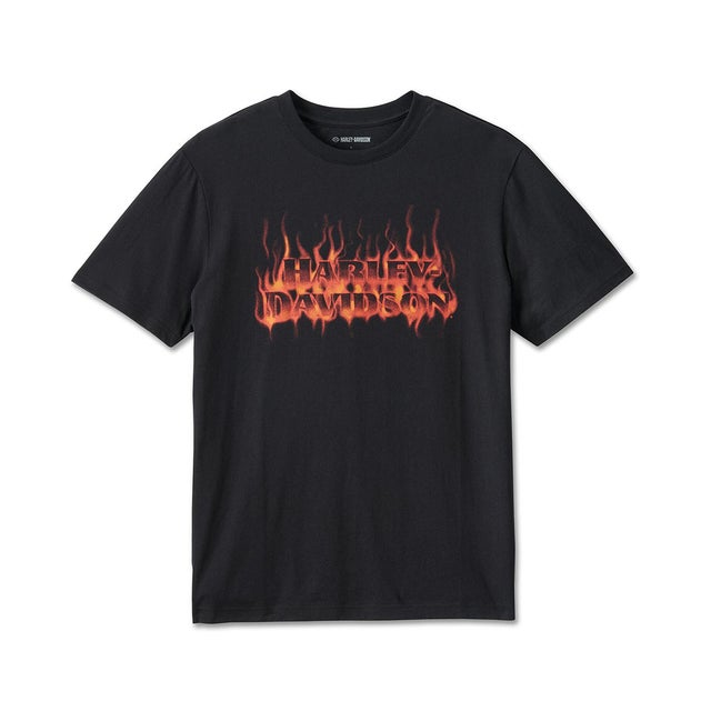 ダ*ス様 Harley-Davidson イーグル FUN WEAR Tシャツ Harley-Davidson