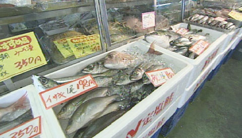 SBCスペシャル | 街のさかなやさん | SBC信越放送