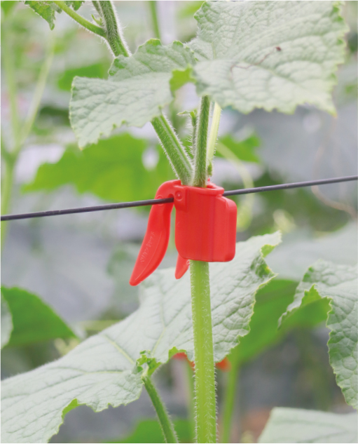 商品紹介】ペリカンキャッチ ｜有限会社シーム