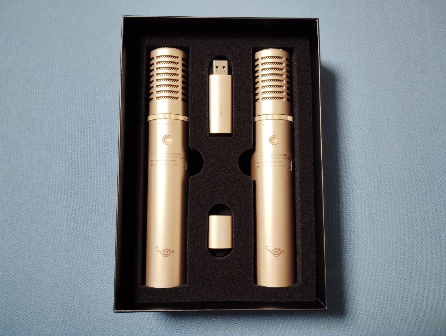 家でカラオケ✨Aladdin XのAladdin Mic 2で「おうちカラオケ」は月額