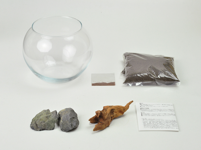 育てる水草 S - 聖新陶芸株式会社｜栽培キットの企画・製造・販売