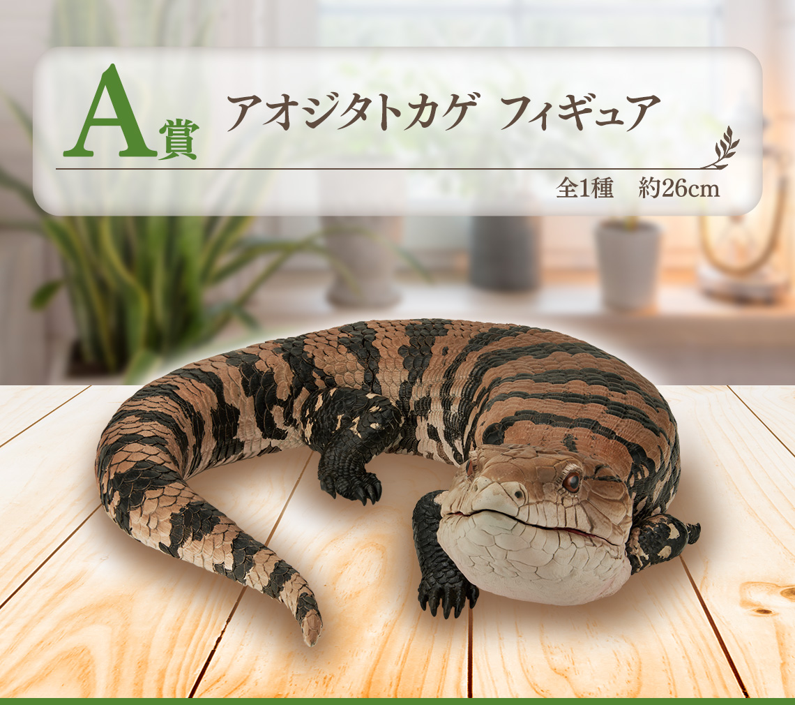 一番くじ 爬虫類＆両生類 C賞 D賞 フィギュア 一番くじ 爬虫類＆